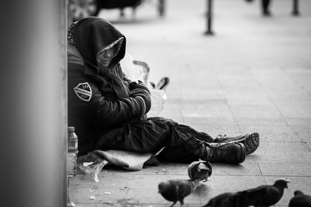 Photograph by OPRESCU MIHAIL