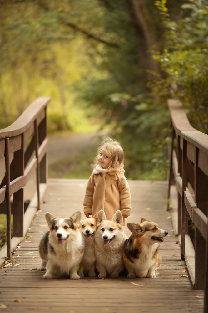 Photograph by Галина Уткина