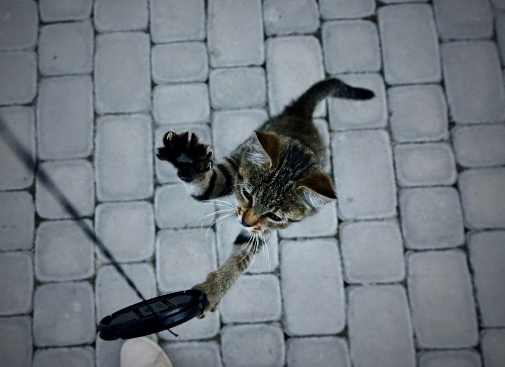 Достать цель