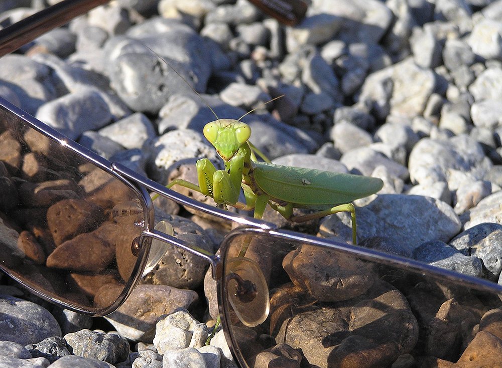 Photograph by Ирина Арканова