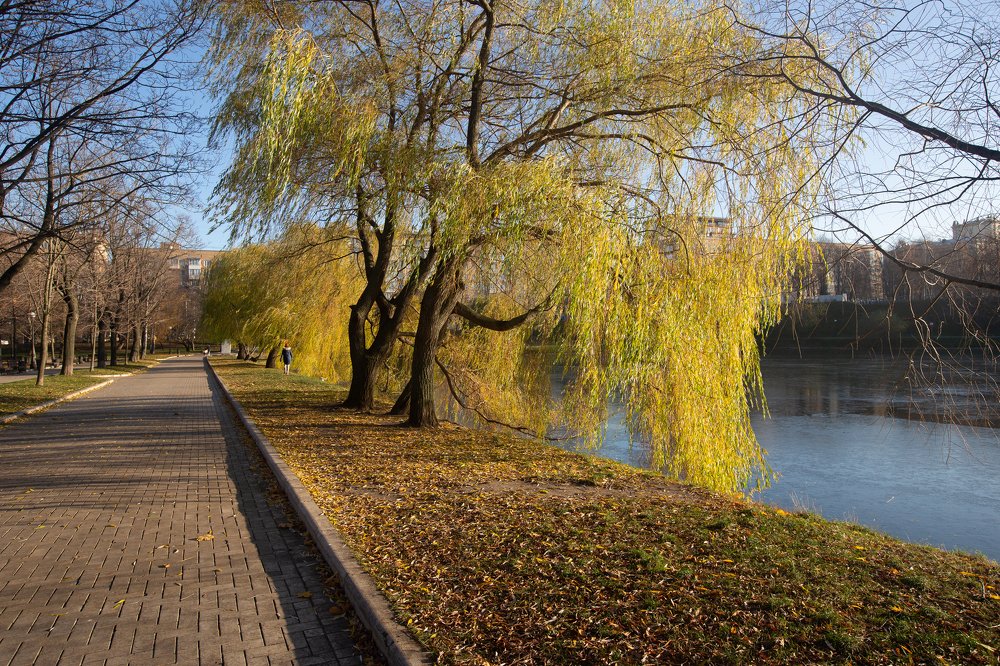 Photograph by Максим Никитин