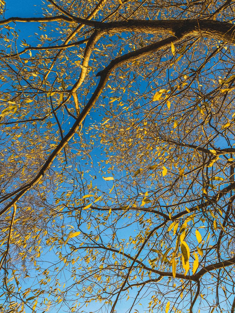 Питер. Октябрь 2020