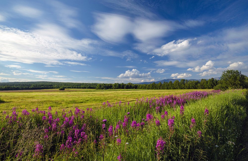 Пастораль севера