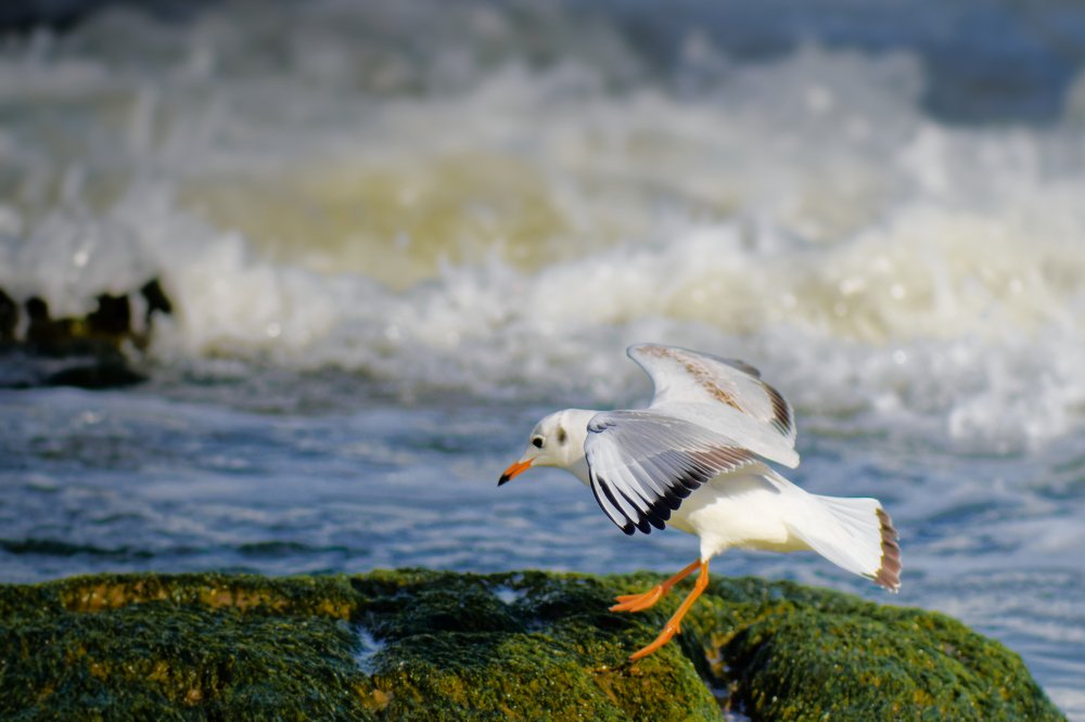 Photograph by Анатолий Калмыков