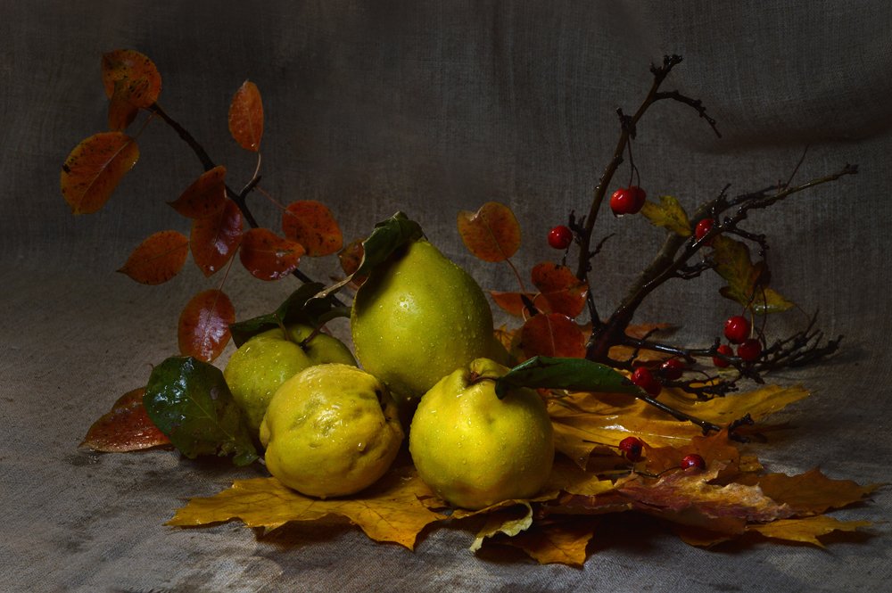 Photograph by Юрий Соловей