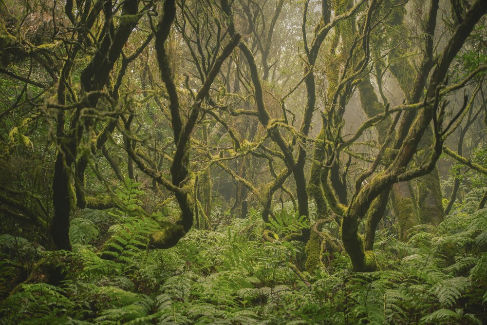 Photograph by Ernestas Balcikonis