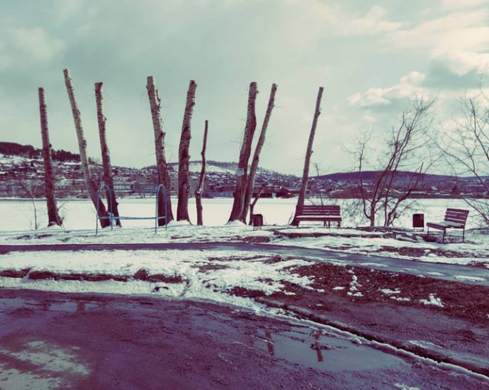 Photograph by Михаил Дунаеа