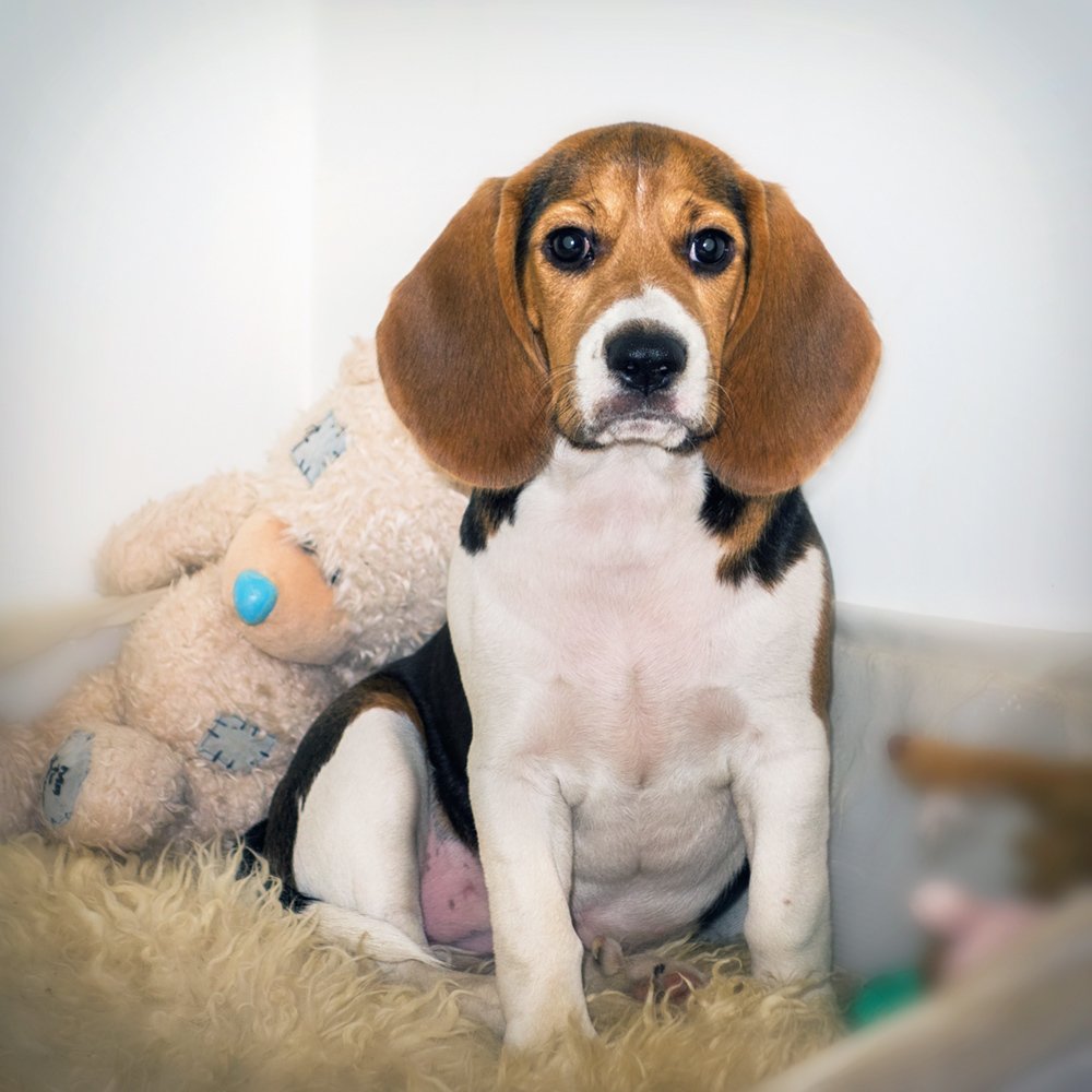 Photograph by Игорь Сарапулов