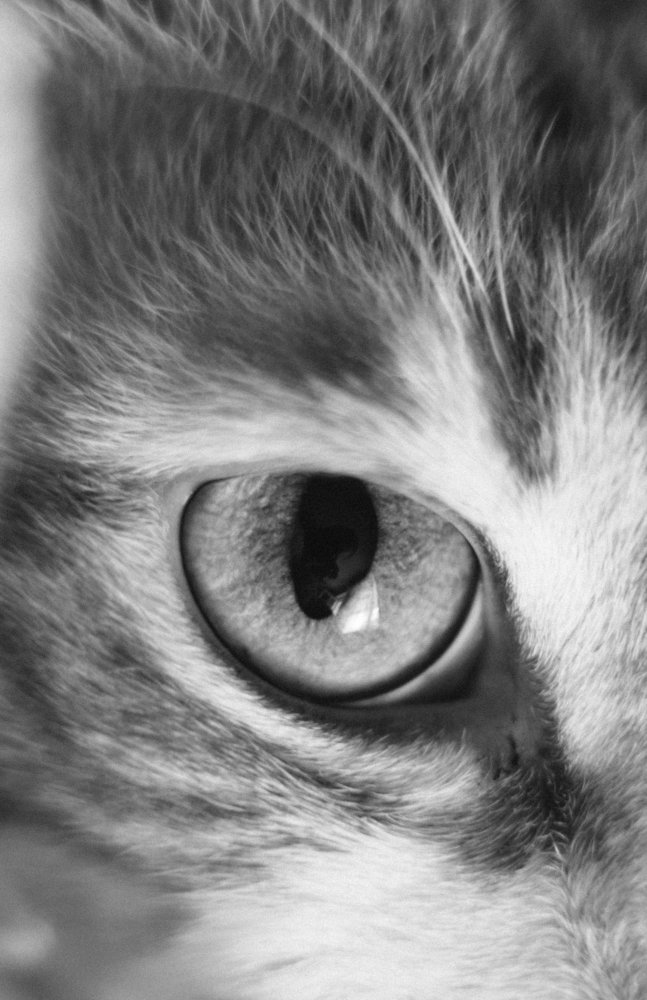 Photograph by Станислав Косматулин