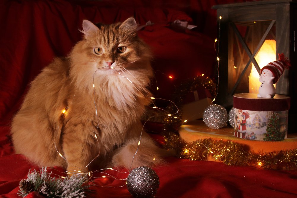 Photograph by Валерий Шорохов