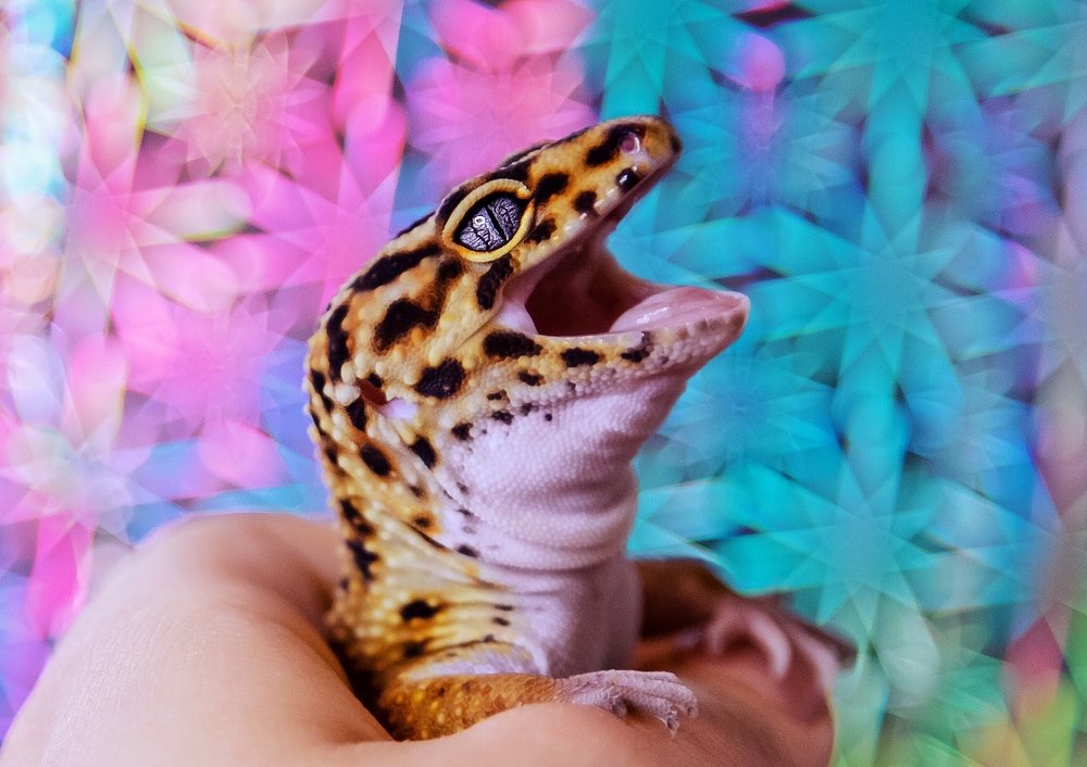 Photograph by Юлия Калугина