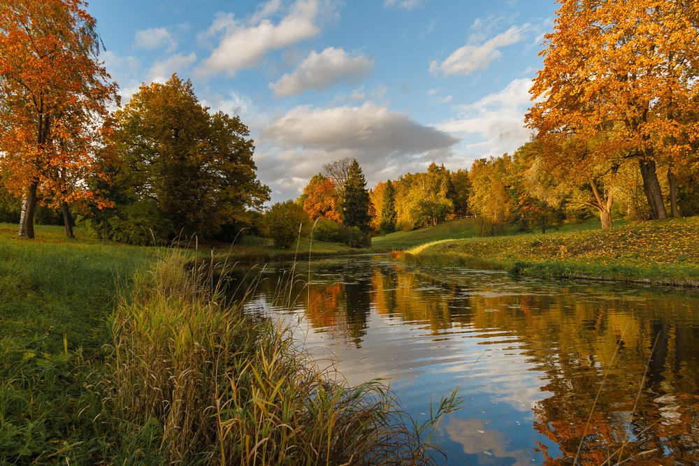 Золотая осень.