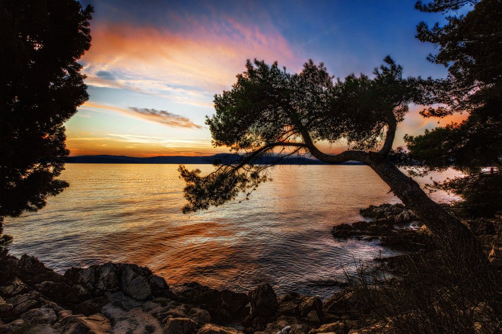 Photograph by Sven Rok