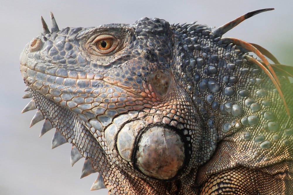 Photograph by Наталья Жигарева