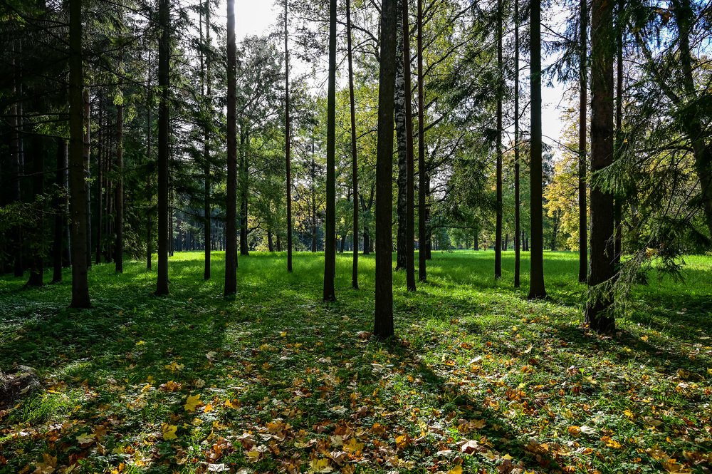 Photograph by Константин