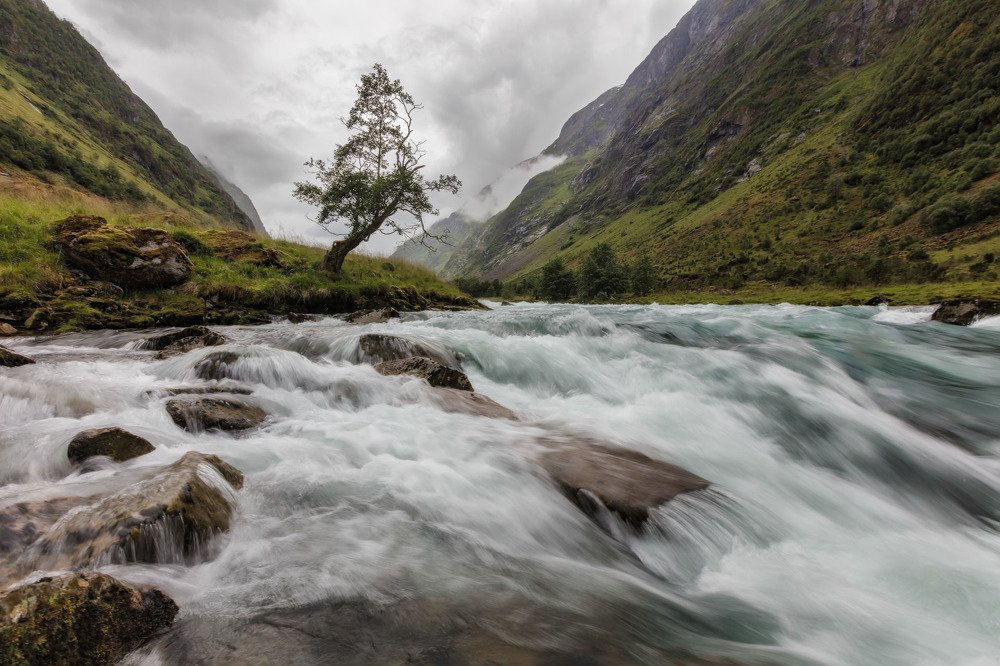 Photograph by Sven Rok