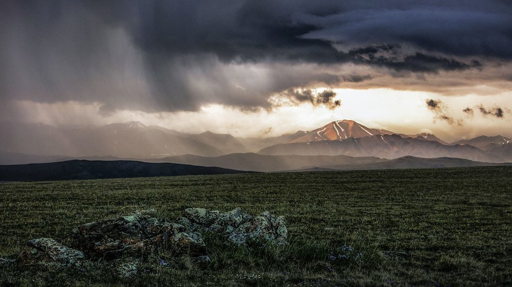 Photograph by Sven Rok