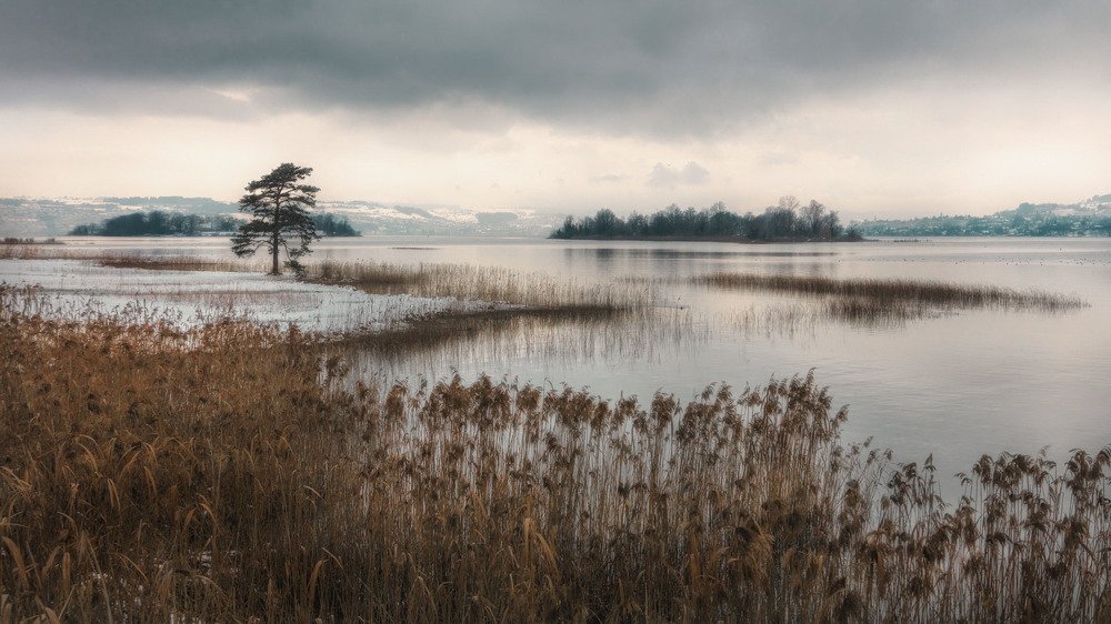 Photograph by Sven Rok