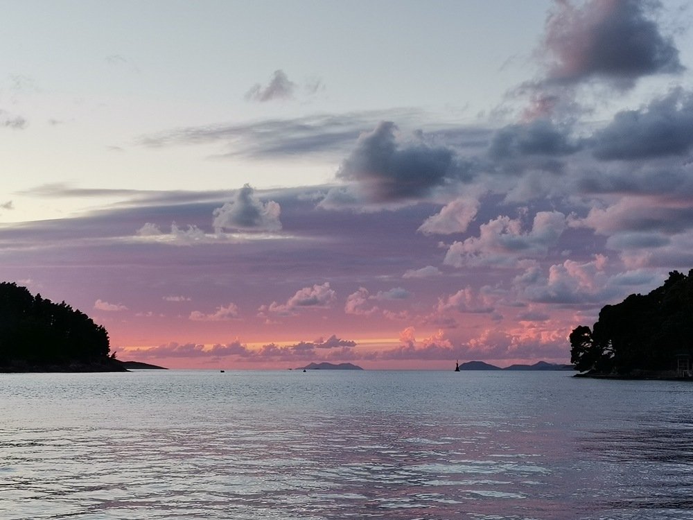 Фотография автора Ines Miljan Popovic