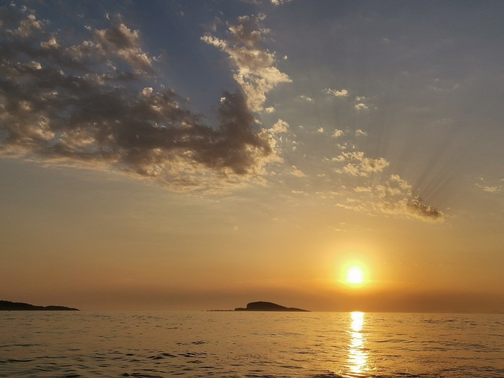 Фотография автора Ines Miljan Popovic