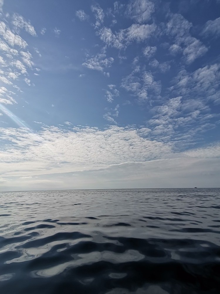 Фотография автора Ines Miljan Popovic