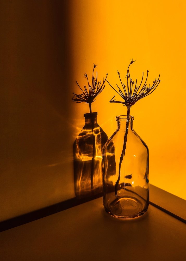 Photograph by Евгения Костырко