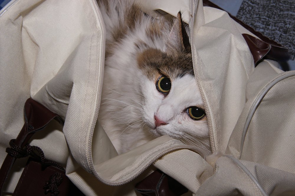 Photograph by Валерий Шорохов