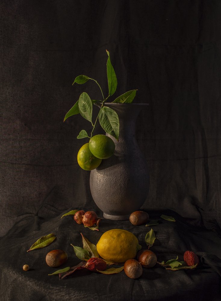 Photograph by mehmet enver karanfil