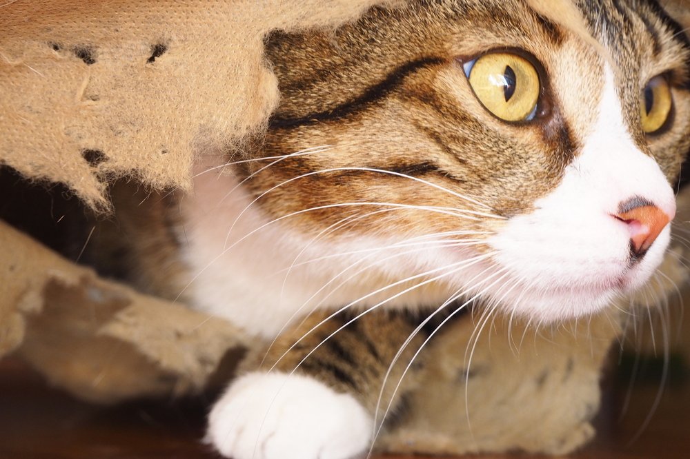 Photograph by GUNSEL SECKİNER