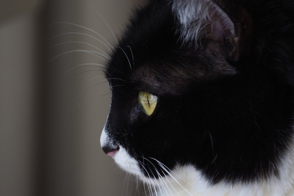 Photograph by GUNSEL SECKİNER