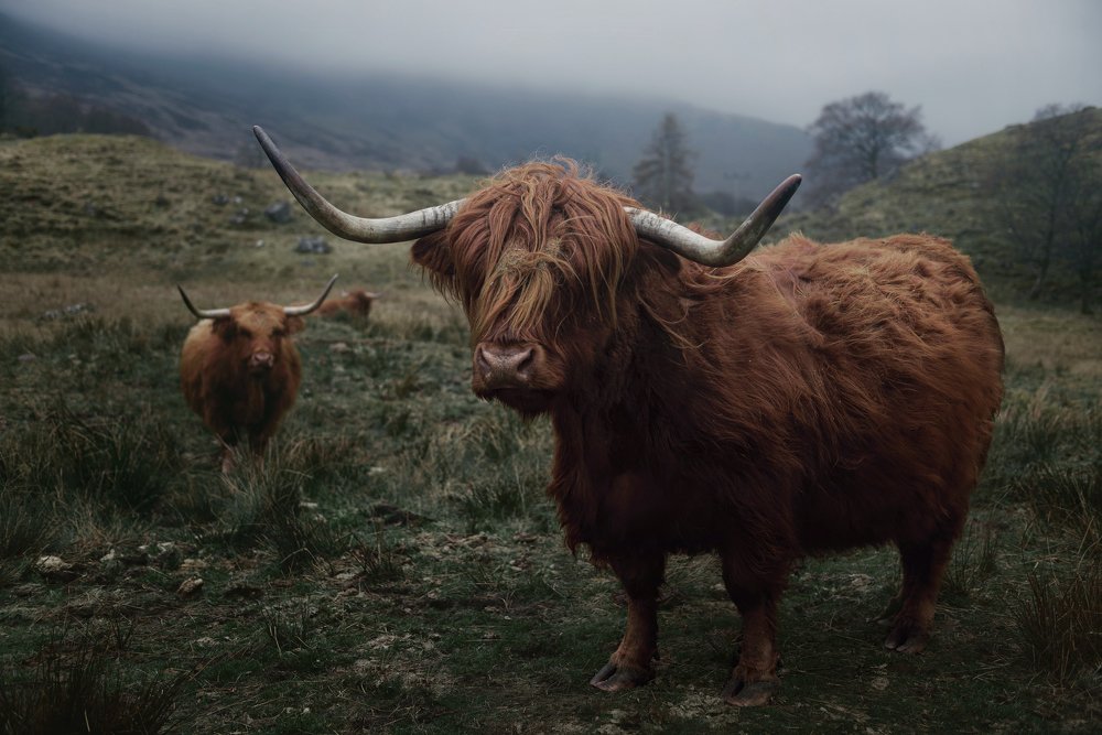 Фотография автора Алексей Ермаков
