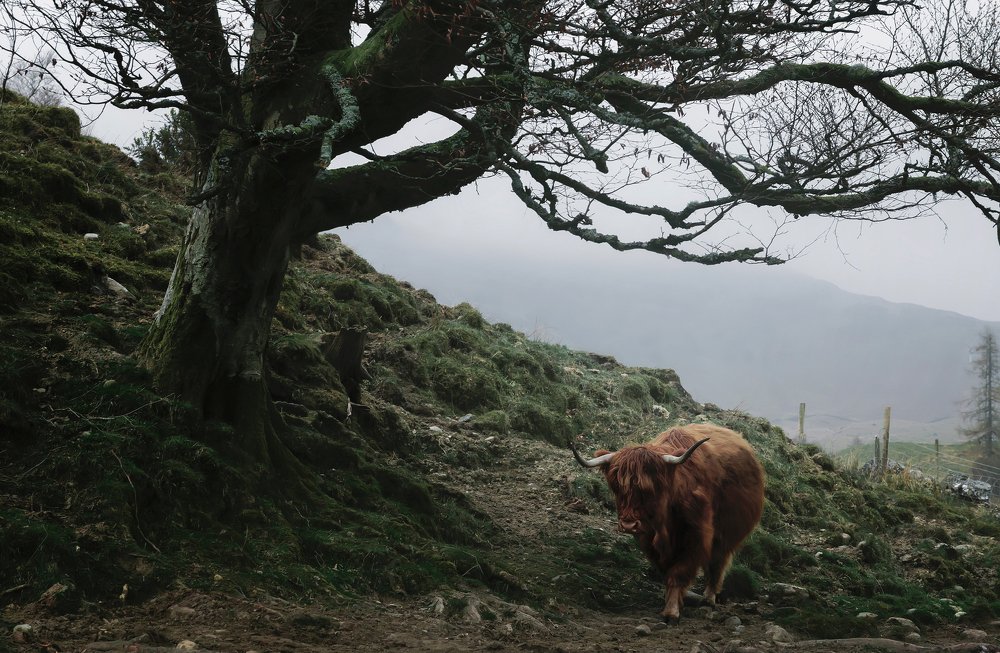 Фотография автора Алексей Ермаков