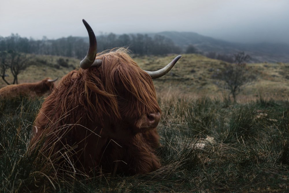 Фотография автора Алексей Ермаков
