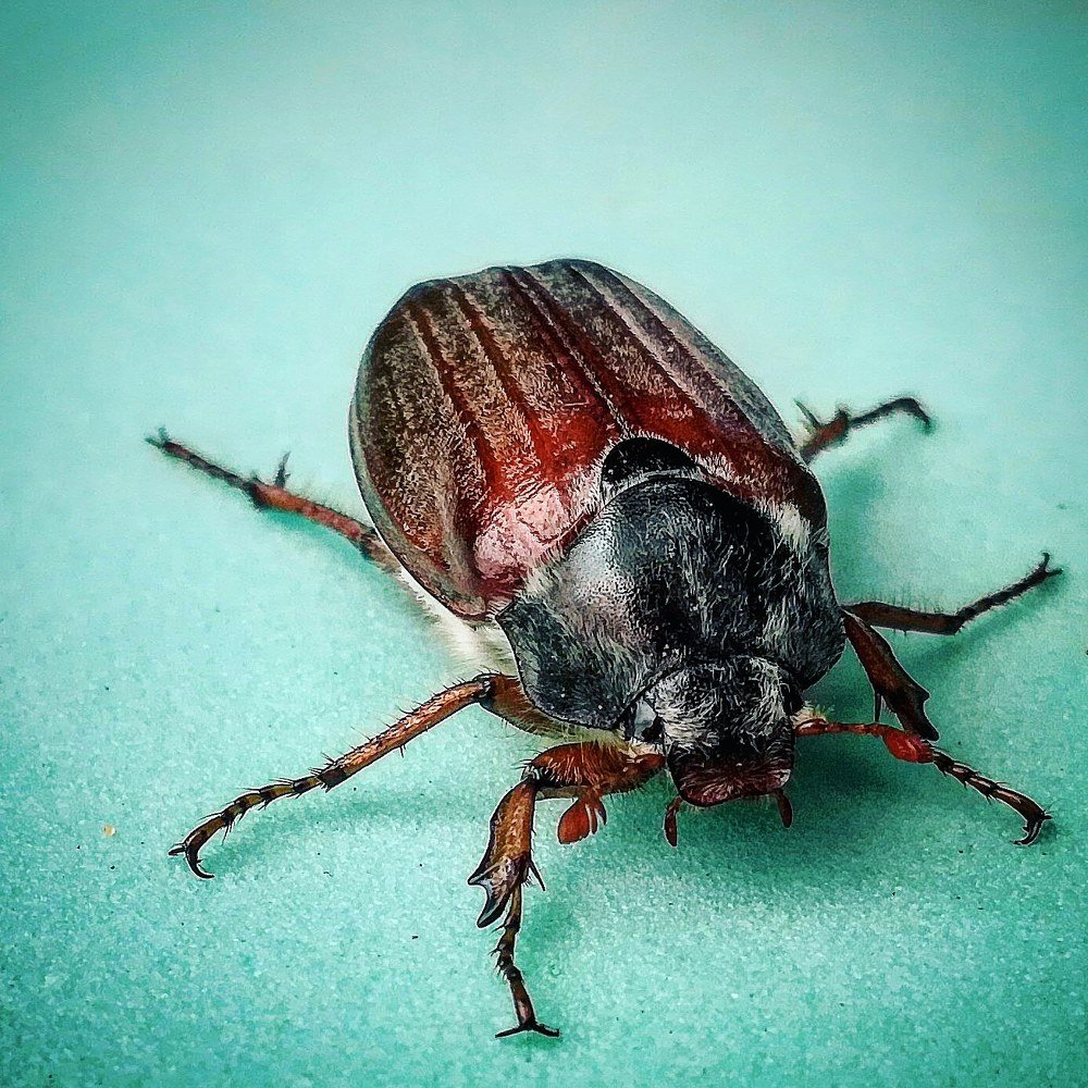 Photograph by Владимир Плотников