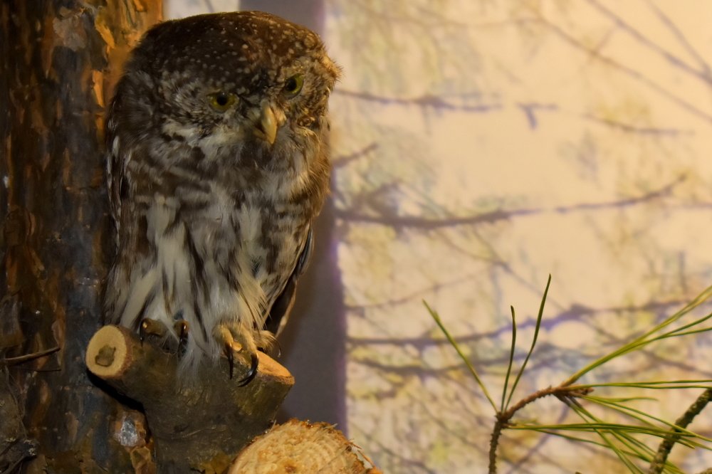 Photograph by Валерий Талейко