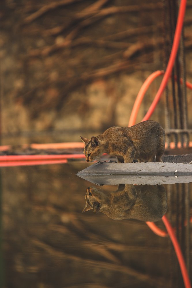 Photograph by kallyan kundu