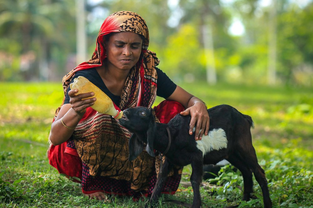 Photograph by kallyan kundu