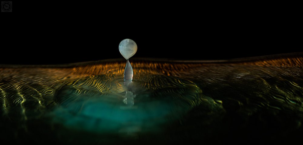 Photograph by Suresh Chakrapani