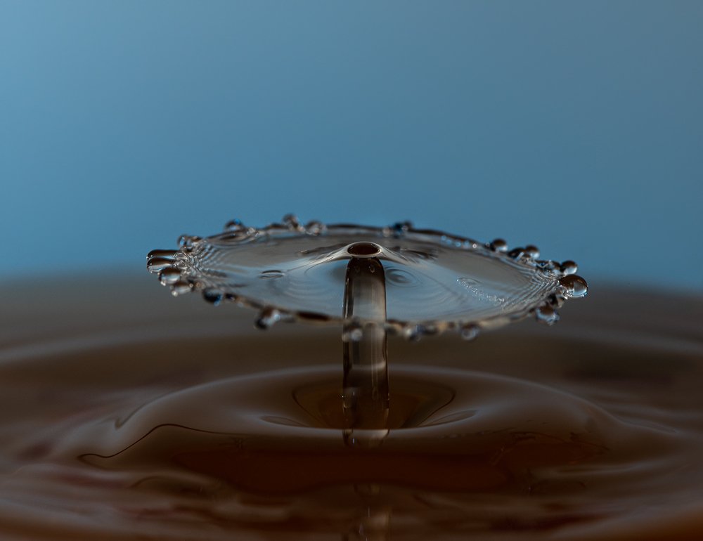 Photograph by Suresh Chakrapani