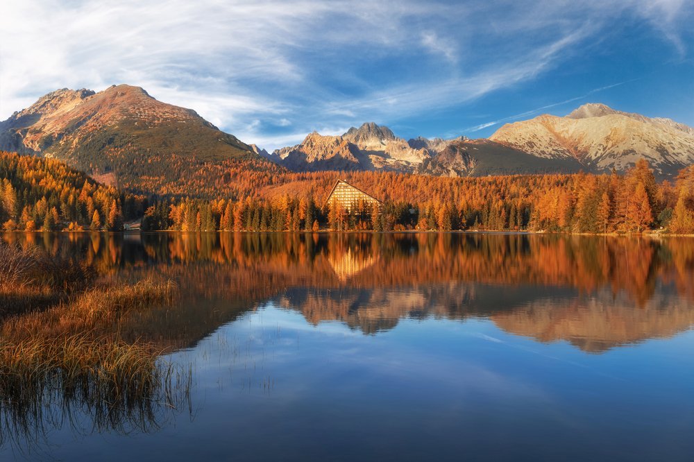 Photograph by Iris Lara