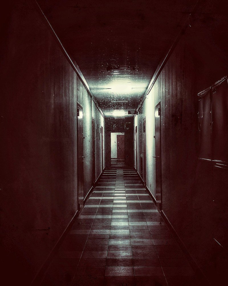 Photograph by Владимир Плотников