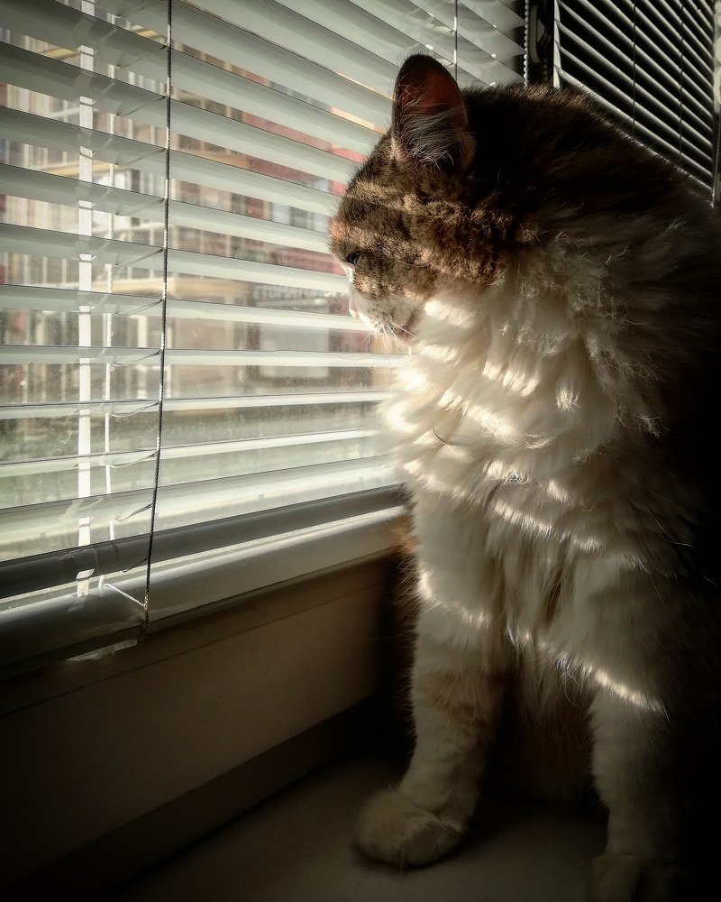 Photograph by Владимир Плотников