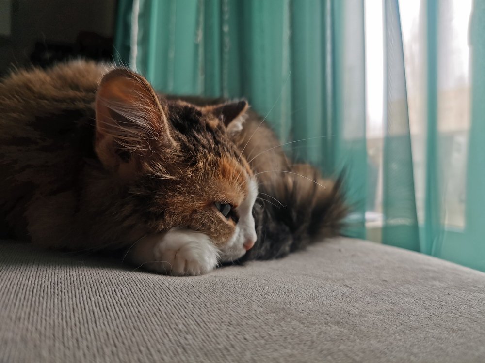 Photograph by Владимир Плотников