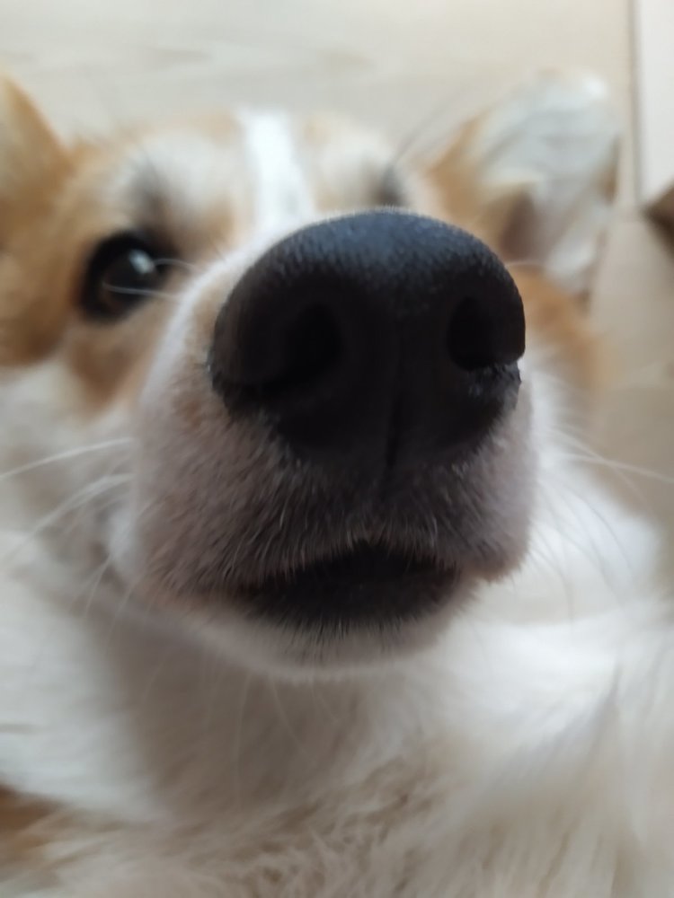 Фотография автора Ines Miljan Popovic