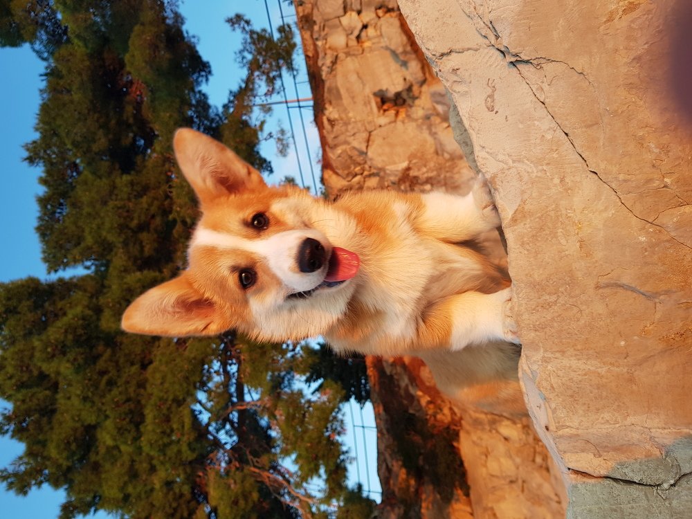 Фотография автора Ines Miljan Popovic