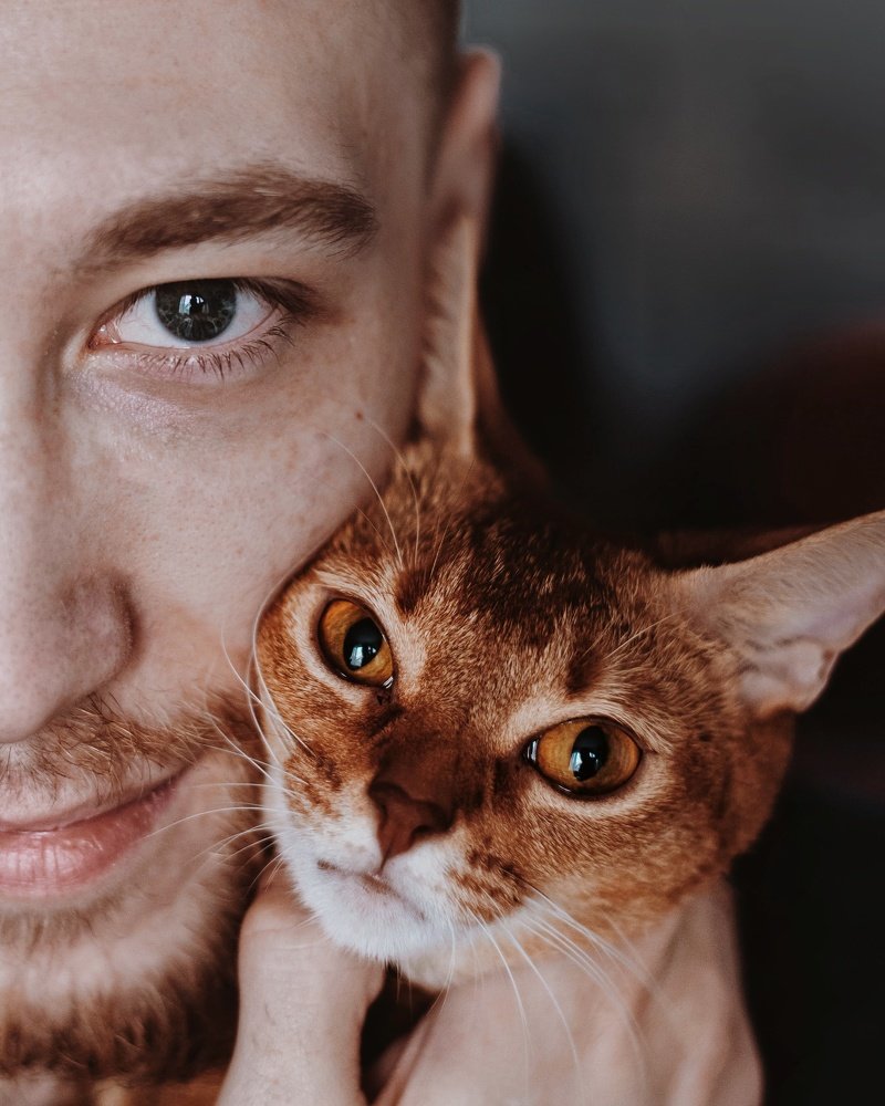 Photograph by Елена Братчук