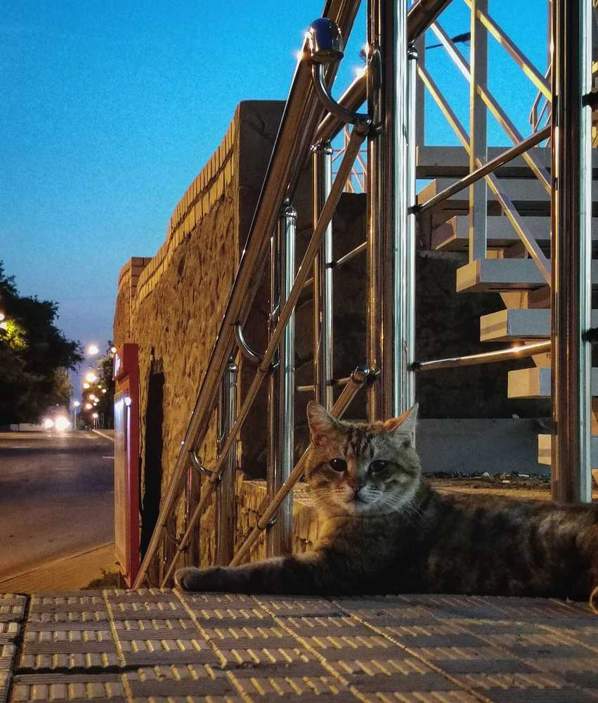 Photograph by Владимир Плотников