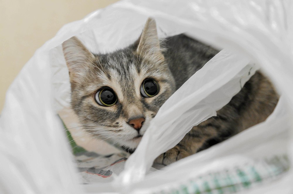 Photograph by Ольга Ситникова