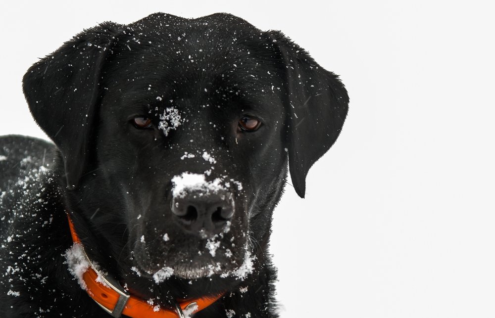 Photograph by Ольга Ситникова