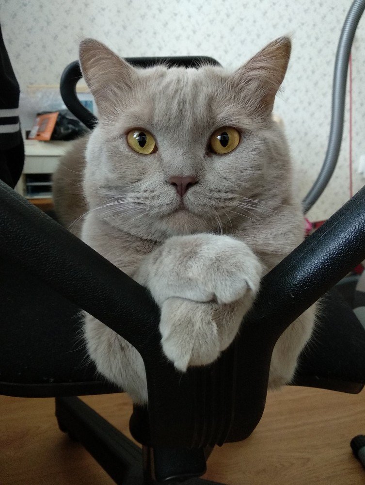Photograph by Арсений Кучма